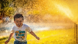 Làm sao để có cuộc sống tự do giữa bộn bề công việc